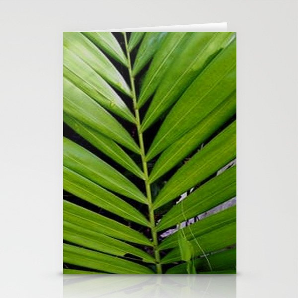 Green Palm Leaf Pattern Stationery Cards