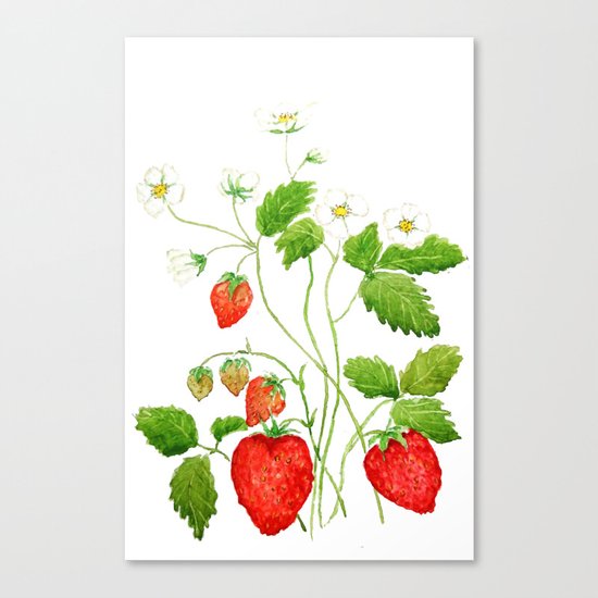 strawberry and strawberry flowers watercolor painting Canvas Print