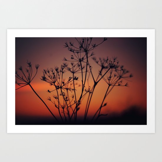 sundown Art Print