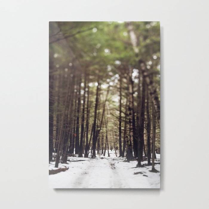Wintry Path Through the Woods Metal Print