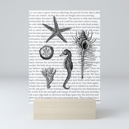 Fig. 5 Sea of Cortez Mini Art Print