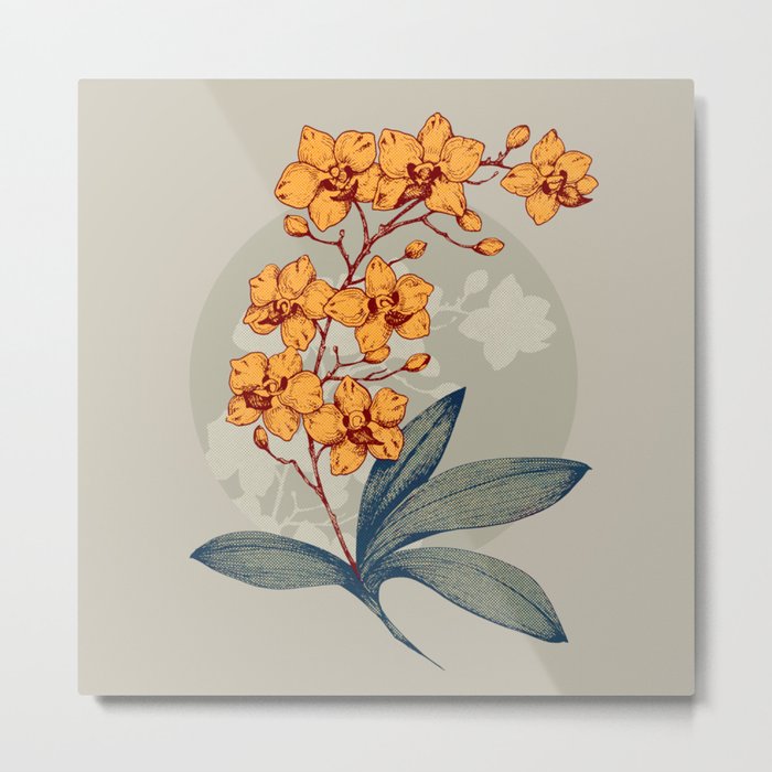  Mini orchids to your garden space Metal Print