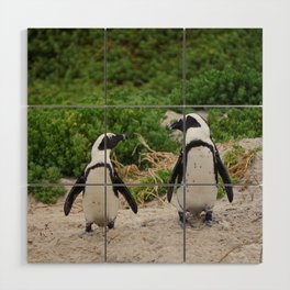 South Africa Photography - Two Small Penguins At The Beach Wood Wall Art