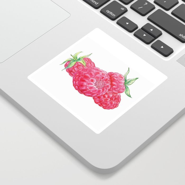 Raspberries  Sticker