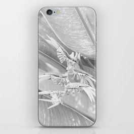 Heliconia High Key Black And White  iPhone Skin
