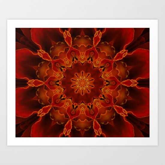 Kaleidoscoped Marigold Art Print