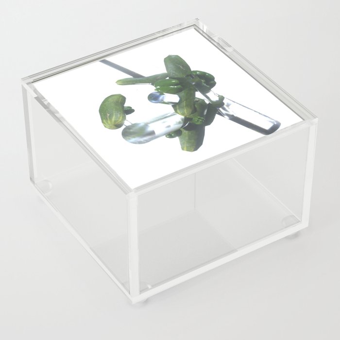Consume your Daily Vegetables!_part. Green Acrylic Box