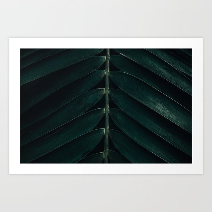 Green Leaves - Nature Photography Art Print