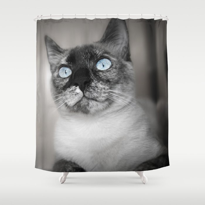 Siamese Cat Shower Curtain By Dlsdesign Society6