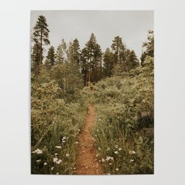 Wildflower Pathway to the Forest Poster