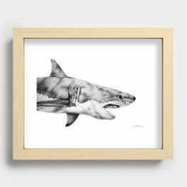 Great White Shark Recessed Framed Print