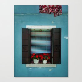 Red flowers window Canvas Print