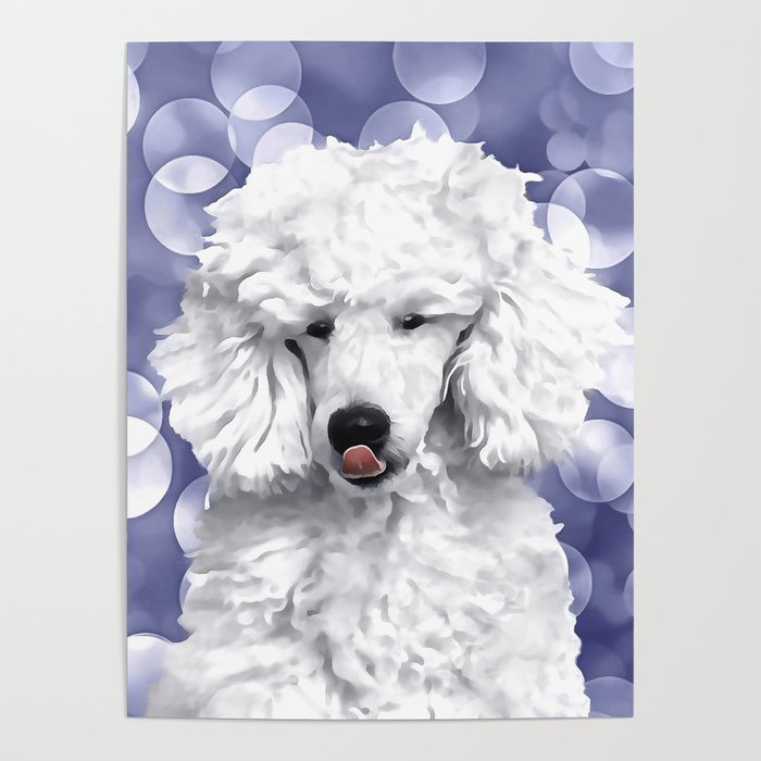 A Poodle. (Painting.) Poster