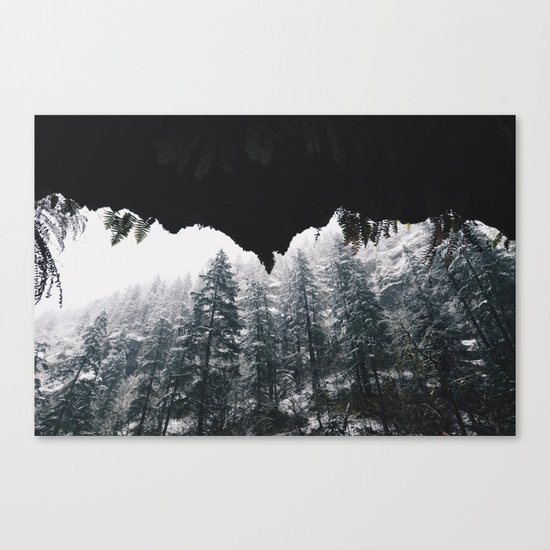 Winter VI Canvas Print