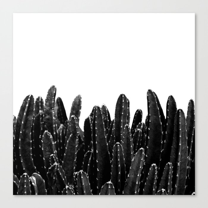 Black Cacti Dream #1 #minimal #decor #art #society6 Canvas Print