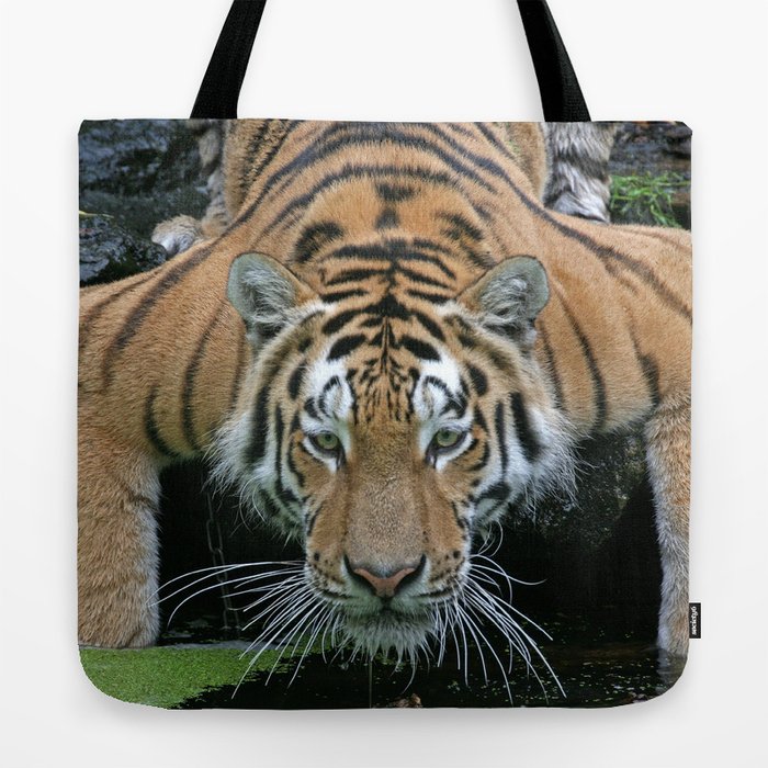 Eye of the Tiger Tote Bag by Martina Berg Society6