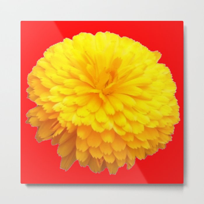 BRILLIANT LARGE YELLOW FLOWER ON RED Metal Print