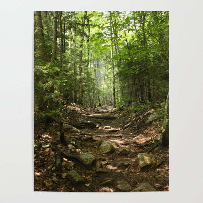 Forest Hike Poster