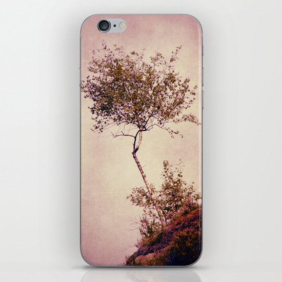 betulla iPhone & iPod Skin