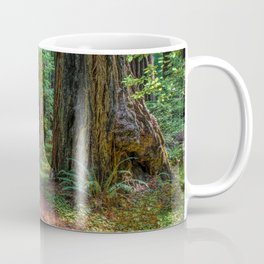 A Walk in the Redwoods Coffee Mug