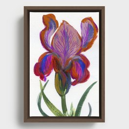 iris (gouache) Framed Canvas