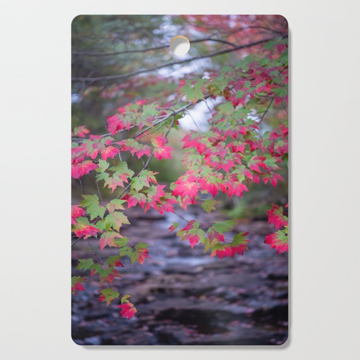 Autumn Riches - Fall Leaves Over Running Water, Great Head Trail, Acadia National Park, Maine, USA Cutting Board