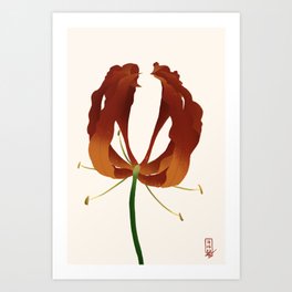 Flame Lily Art Print