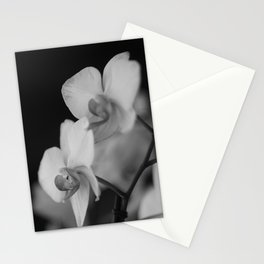 Orchid 2 Stationery Cards