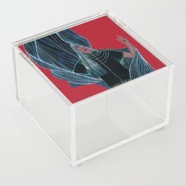 Behind the Veil Acrylic Box