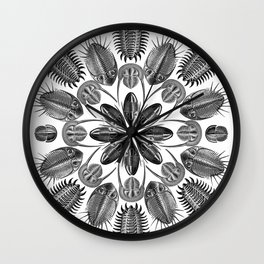 Trilobite and Fossil Mandala, Collage using Ernst Haeckel illustrations Wall Clock
