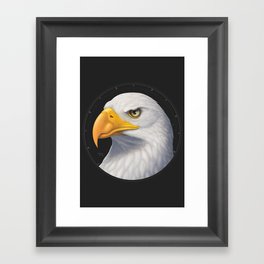 Bald Eagle Framed Art Print