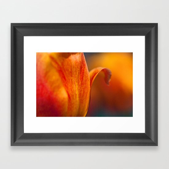 Tulip Bends Framed Art Print