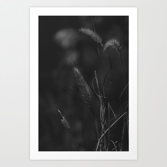 Little things Art Print