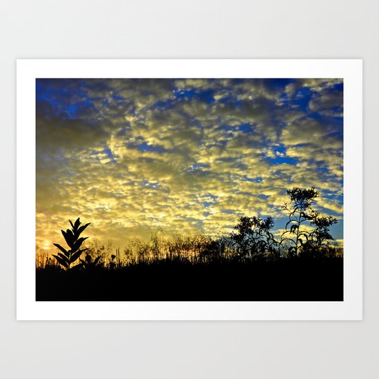 Shadows of Fall Art Print