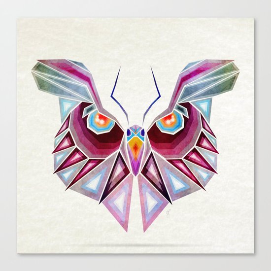 owl or butterfly? Canvas Print