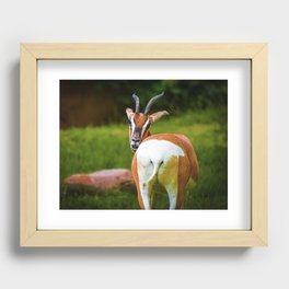 "Hump Day" Recessed Framed Print