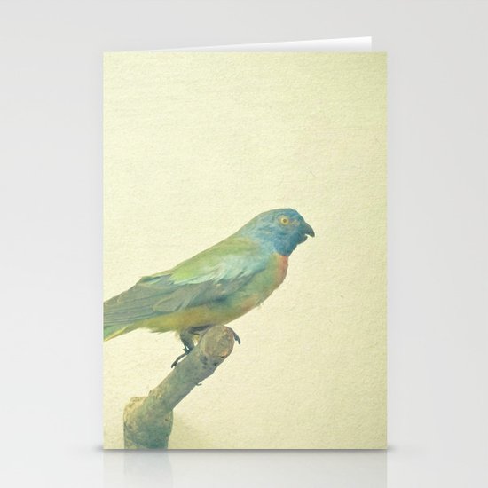 Bird Study #3 Stationery Cards