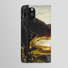 Coquina Sunrise iPhone Wallet Case
