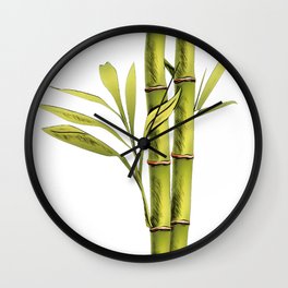 Bamboo evergreen perennial flowering subfamily Bambusoideae Poaceae Kannada Wall Clock