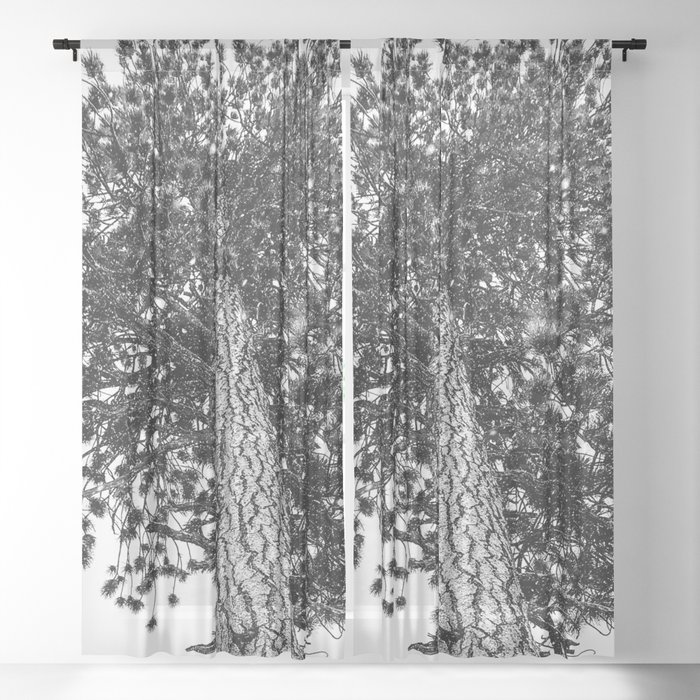 Tree Top Snowy Winter Alpine Branches Trunk Nature Landscape
