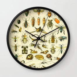 Adolphe Millot "Insectes" Nouveau Larousse 1905 Wall Clock