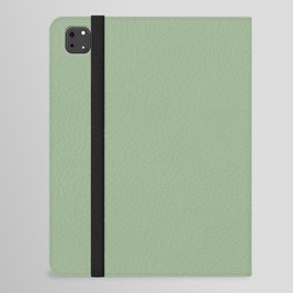 Solid Color SAGE GREEN  iPad Folio Case
