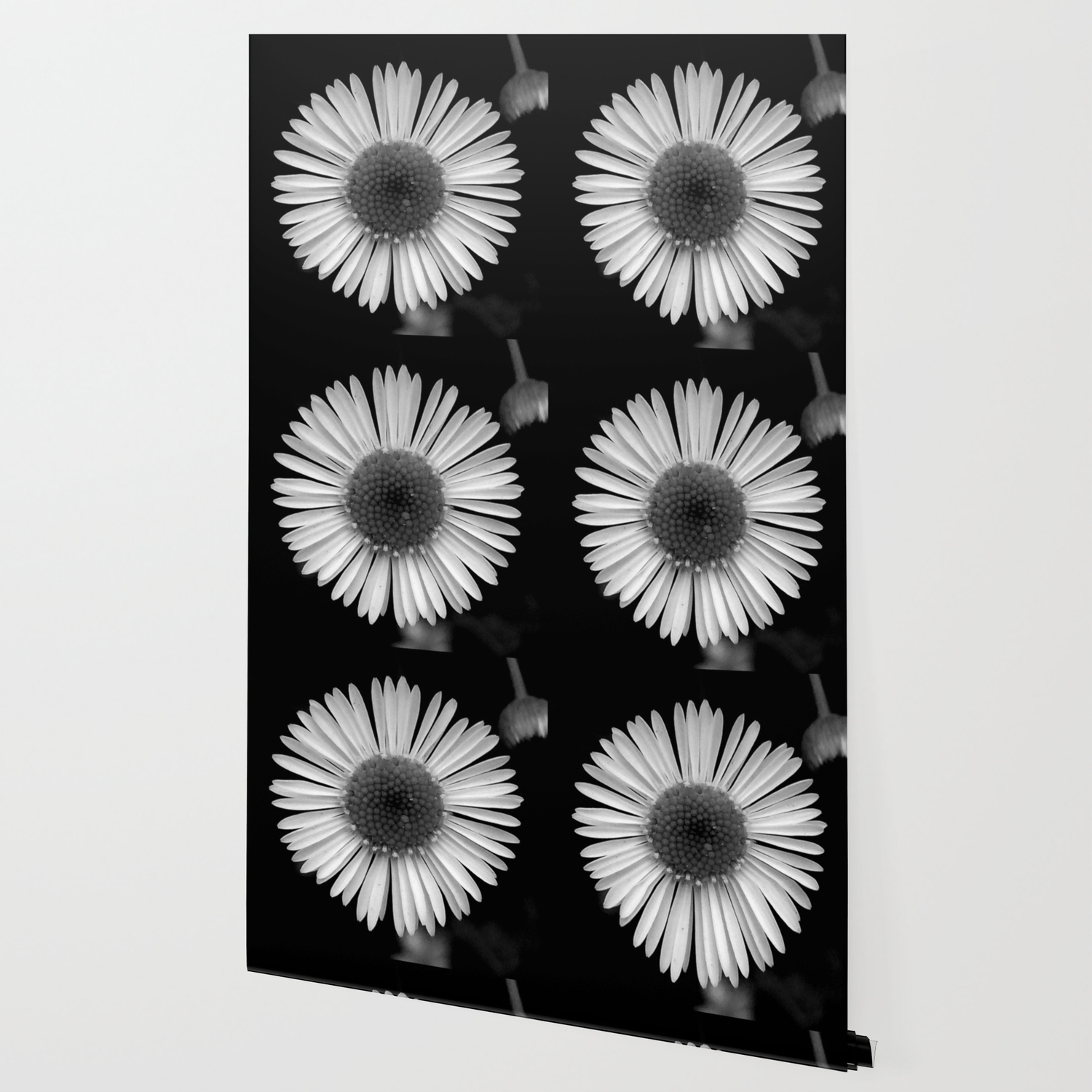 Black White Daisies Flower Daisy Wallpaper By Lifeisbeautiful Black White Daisies Flower Daisy Wallpaper By Lifeisbeautiful