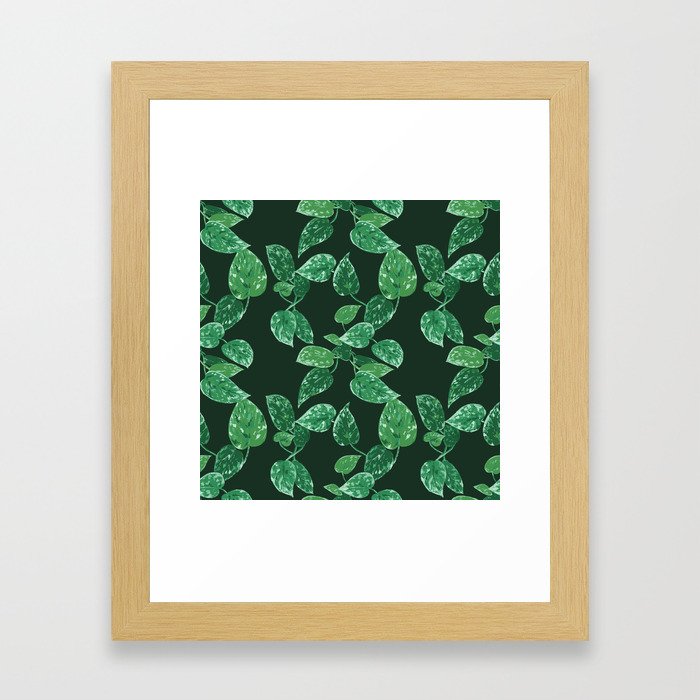 Scindapsus Framed Art Print