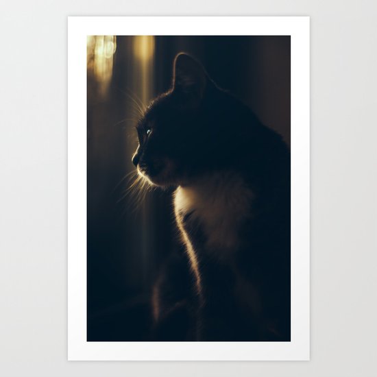 Daydreamer Art Print