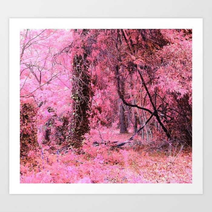 Pink Fantasy Forest Art Print