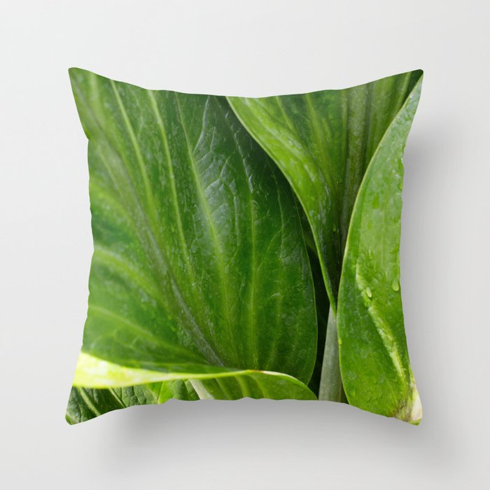 Anthurium Leaves Close Up Photography  Throw Pillow