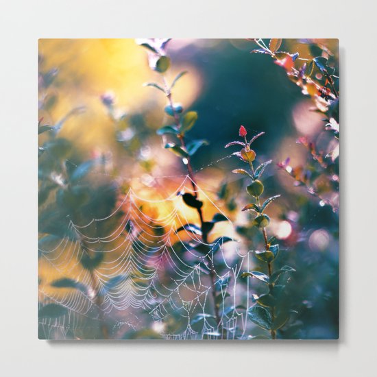 Early Autumn Metal Print