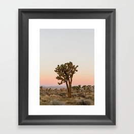Joshua Tree Framed Art Print