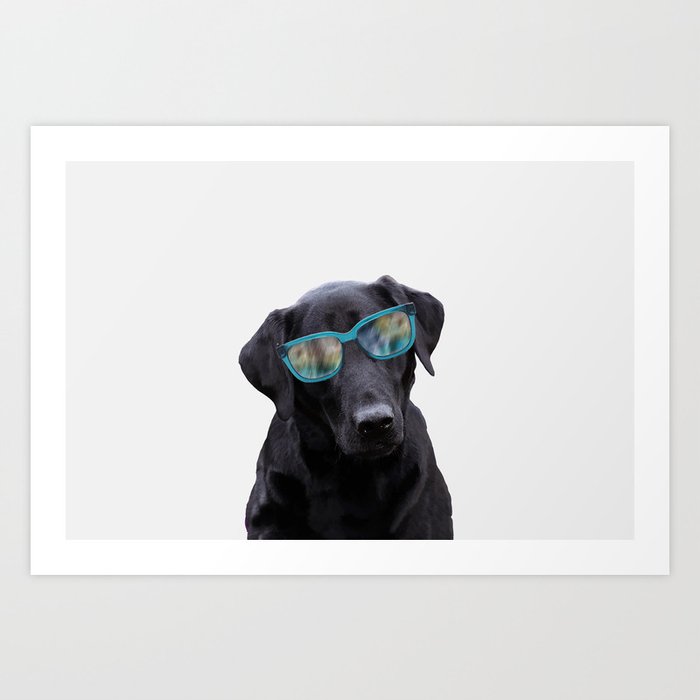 Labrador Dog - turquoise Sunclases Art Print
